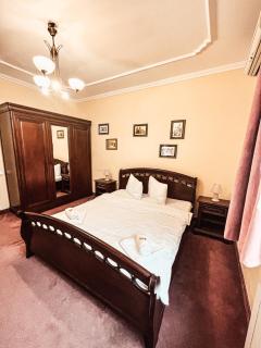 Pensiunea Curtea Bavareza - 1