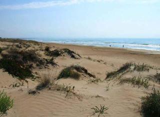Holiday home in Castelvetrano 41451 - Triscina - 6