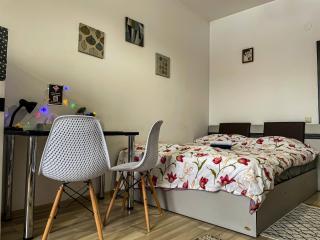 Cazare Iasi Palas Apartment - Iaşi - 5