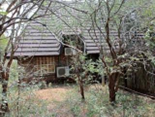 Hedgehog Cabin - Marloth Park - 4