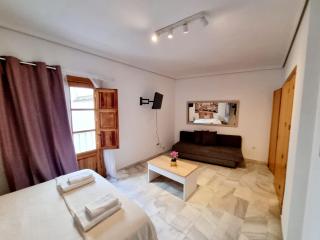 Magnifico Loft Sevillano en el Centro - Sevilla - 7