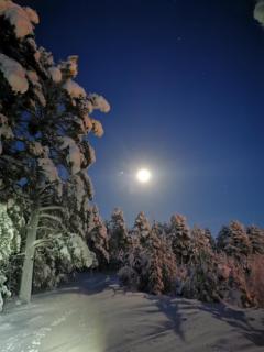Majoitus Valkea - Nunnanen - 5