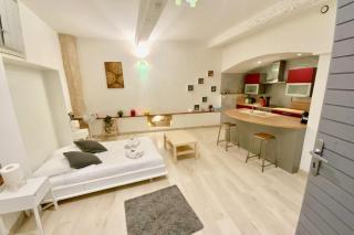 Le Montpelliérain - Studio dans l’écusson ! - Montpellier - 0