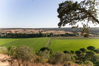 Casas Do Rio Sado - Sado River Country Retreat - 3
