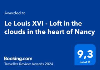 Le Louis XVI - Loft in the clouds in the heart of Nancy - Nancy - 9