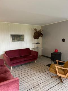 Spacious apartment in beautiful Norway countryside close to trondheim fjord - 3