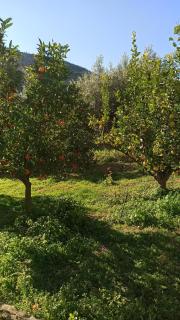 O'GERA Greek resort house in the mountains - - 9