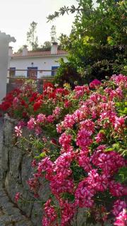 Quinta da Idalina - Monchique - 2