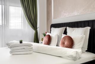 Sika Crystal Apartment Arad - Arad - 9