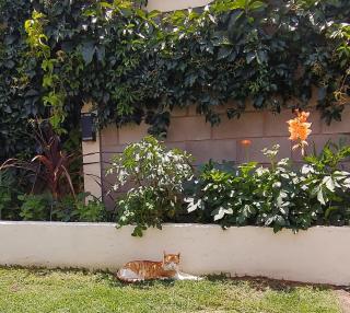 Sierras Alojamiento Departamentos - 2