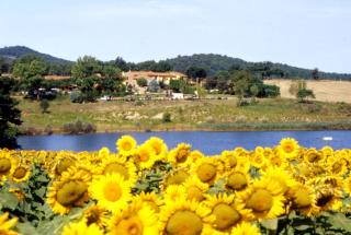 Ground floor apartment with pool view Gazebo - Pievescola - 3