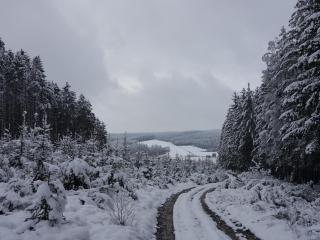 die alte schule-studio - 3