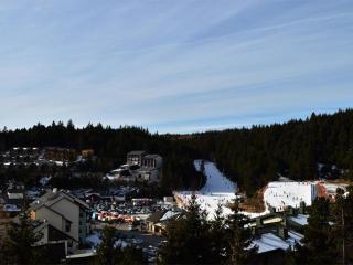 Confortable T2, 6 pers, ascenseur, balcon, proche pistes, parking, Bolquère - FR-1-592-36 - 4