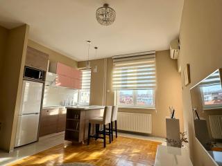 Trident Apartments 3 - Niš - 4