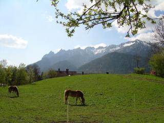 Bachbauernhof - Bayerisch Gmain - 8