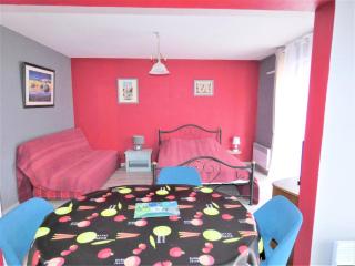 Résidence L'elvire - Très fonctionnel logement dans quartier animé ! MAE-6604 - Aix-les-Bains - 9