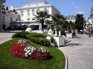 Résidence Le Chateau Durieux 2 - Très coquet et moderne, studio très agréable ! MAE-6884 - Aix-les-Bains - 1
