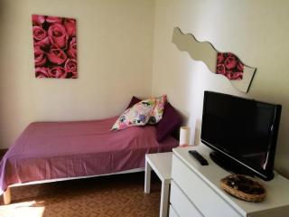 Résidence Le Chateau Durieux 4 - Ravisant et paisible studio 2 personnes ! MAE-7114 - Aix-les-Bains - 1