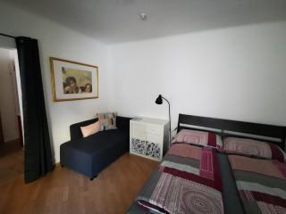 Zentrale, ruhige Wohnung nahe Murinsel & Kunsthaus - Graz - 5