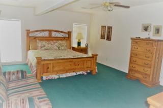 River Hideout: One Bedroom Duplex Cottage ON THE RIVER!! - Ruidoso - 1