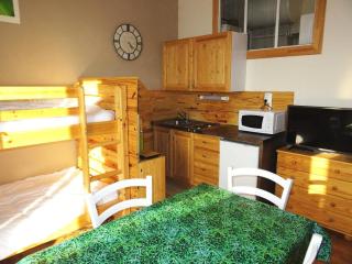 Residence Albion - Agréable petit studio offrant une belle vue dégagée ! MAE-7564 - Aix-les-Bains - 9