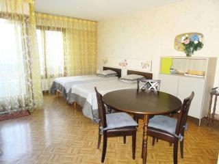 Résidence Le Chateau Durieux 3 - Au calme et spacieux studio ! MAE-7744 - Aix-les-Bains - 0