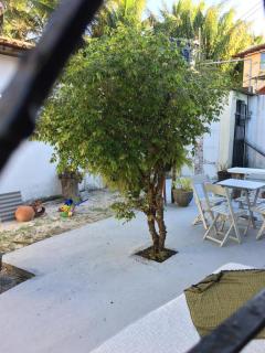 Casa da Calmaria - 5