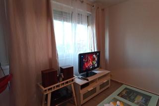 Parking privé,T1 bis, 10mn Lyon centre - Villeurbanne - 1
