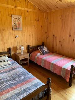 Cabaña laurel lago panguipulli - 1