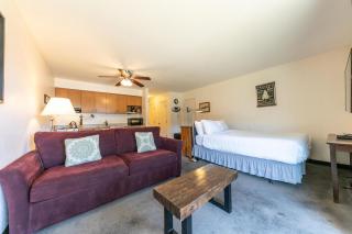 Striking Studio w/Lake View #244 at Donner Lake Village - Truckee - 5