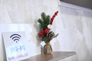 Apartman Iva - Bijeljina - 6
