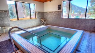 1633 Quicksilver Condo - 8