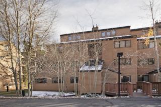 1633 Quicksilver Condo - 7