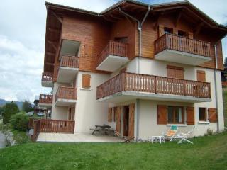 Appartement 3 pièces, terrasse Sud-Ouest, à 100m des pistes, 6 couchages, village à 500m, garage inclus - FR-1-733-3 - Crest-Voland - 1