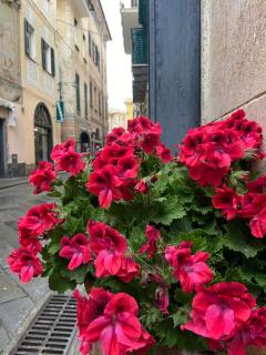 casa vicino al mare - Finale Ligure - 0