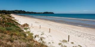 Onetangi Beach Stays Studio 1 - Coast & Country - 5