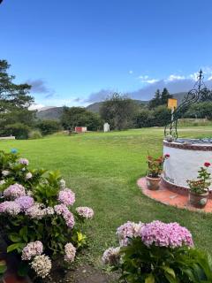 Descanso Perfecto en Tafí del Valle - Tafí del Valle - 6