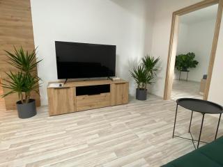 Apartmány Hodonín - Hodonín - 3