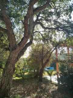 Sotogrande - Estancia en plena naturaleza - Abril - Sotogrande - 6