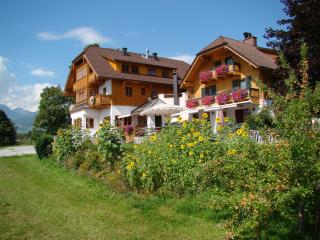 Panoramahaus Steiner - Mariapfarr - 0