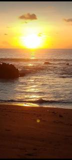 Los Paniquines Ecolodge - 2