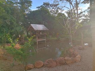 Cabinas casa Jungla - Drake - 6