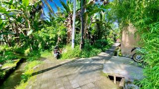 Villa magica 2 - Ubud - 7