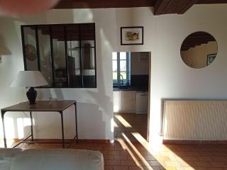 Maison calme avec grand jardin en Berry, proche Châteauroux - FR-1-591-372 - Arthon - 4