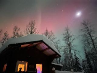 Discover a tranquil getaway near Talkeetna, AK - Willow - 9