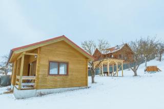 Country Garden - Országkert - Păuleni-Ciuc - 1