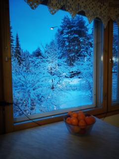 Nordic artist house & with wooden sauna - Heinola - 2