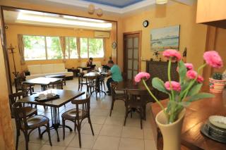 IKAROS Hotel ELLINIKO - 3