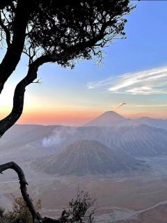 Bromo Holiday Guest House - Ngadisari - 7