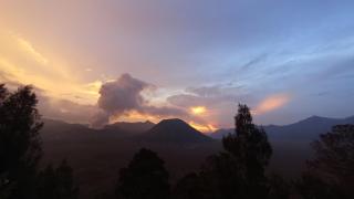 Bromo Holiday Guest House - 8